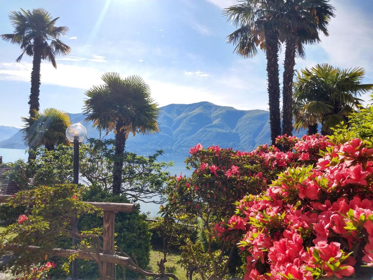 Hotel Garden Primavera