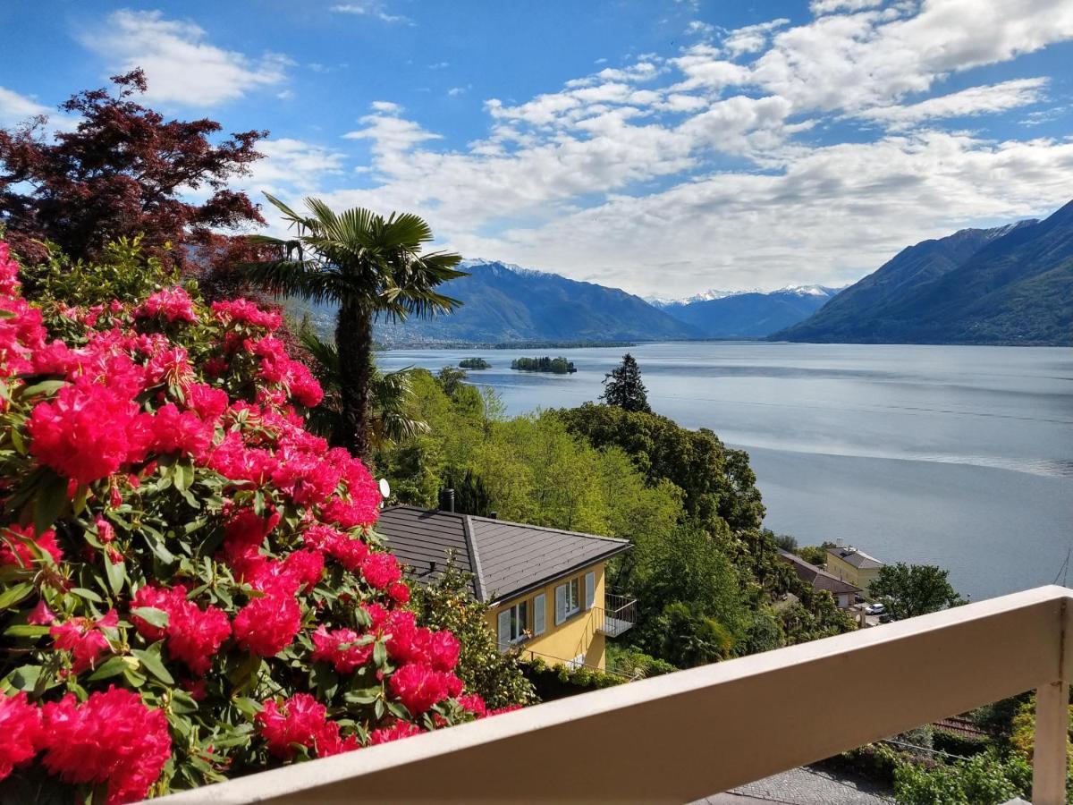 Garden Primavera Hotel Brissago